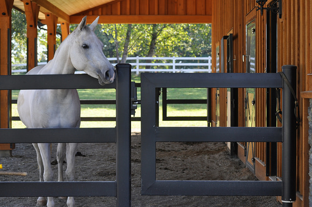 How to build a wood fence for horses