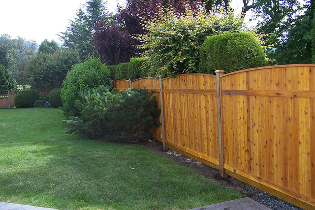 Pre-stained fencing Fraser Valley