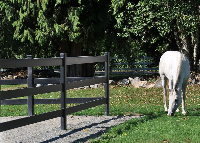 What do I need to know before building a fence for my horses?