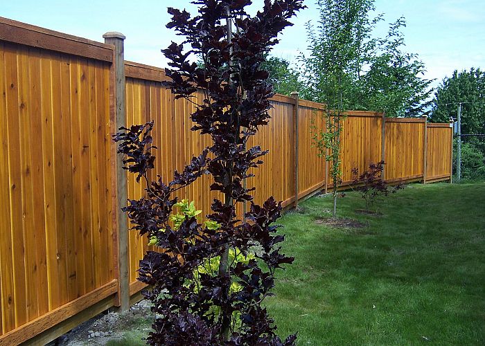 3 Great Benefits of Privacy Fencing for Your Yard