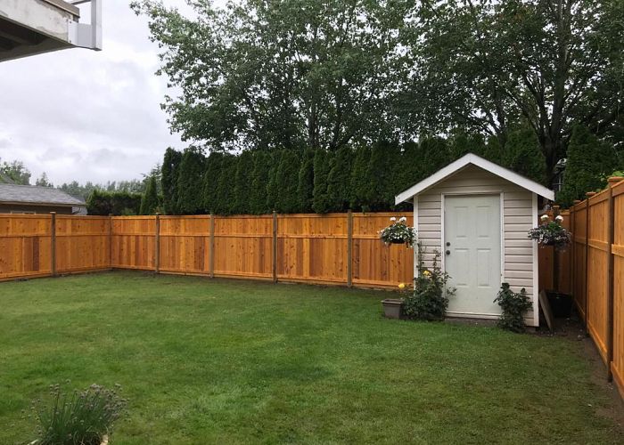 How to maintain your fence 