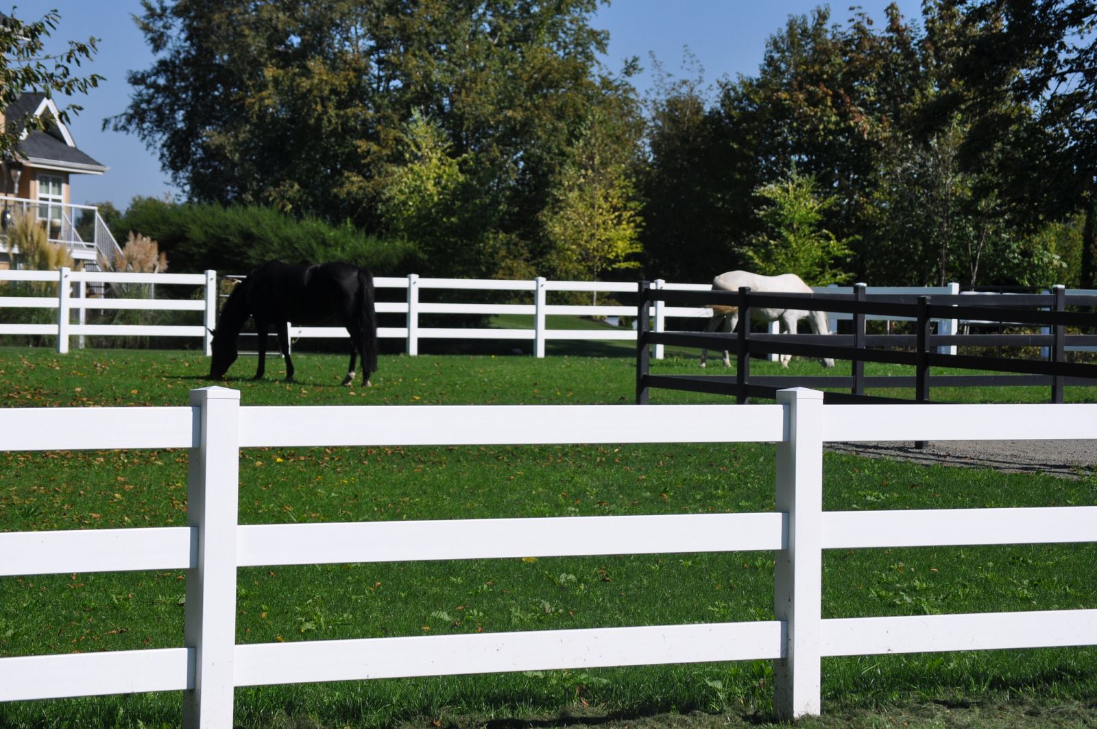 Farm fencing in the Fraser Valley