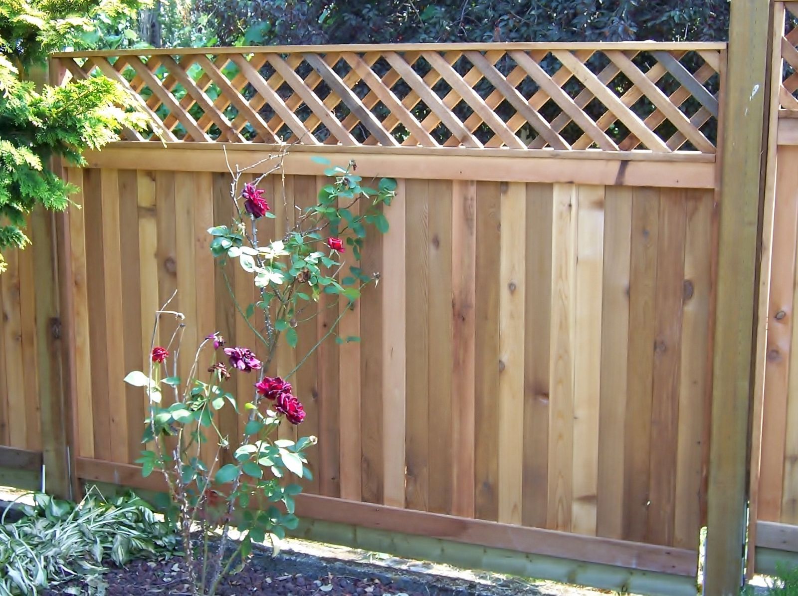 What are the most popular types of wood fences?