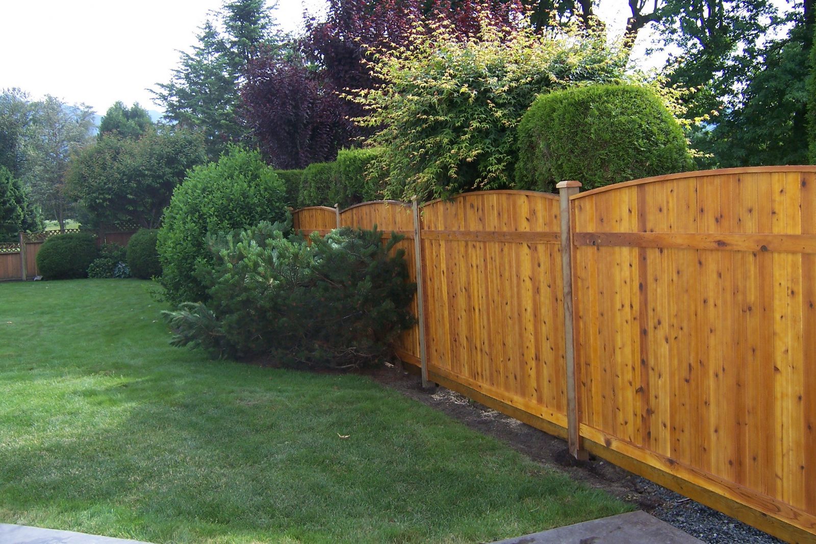 Fencing in the Fraser Valley