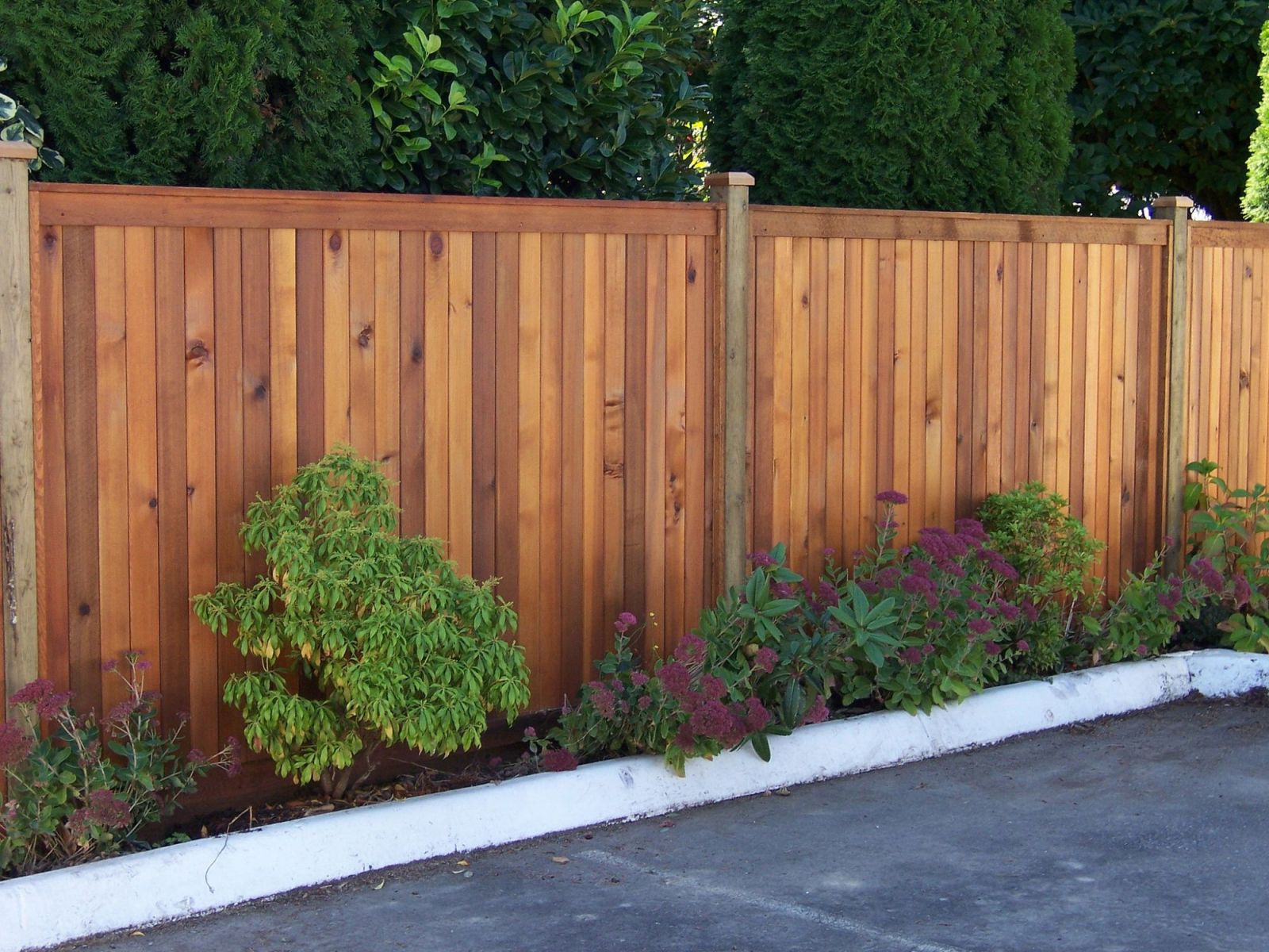 fence staining brentwood