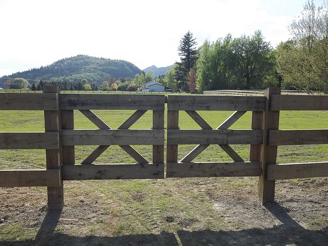 Your guide to farm fencing in the Fraser Valley