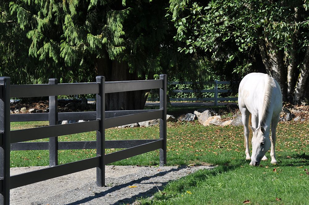 What do I need to know before building a fence for my horses?