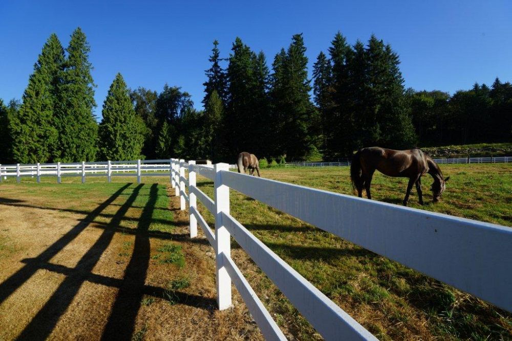 Spruce Up Your Fence For Spring