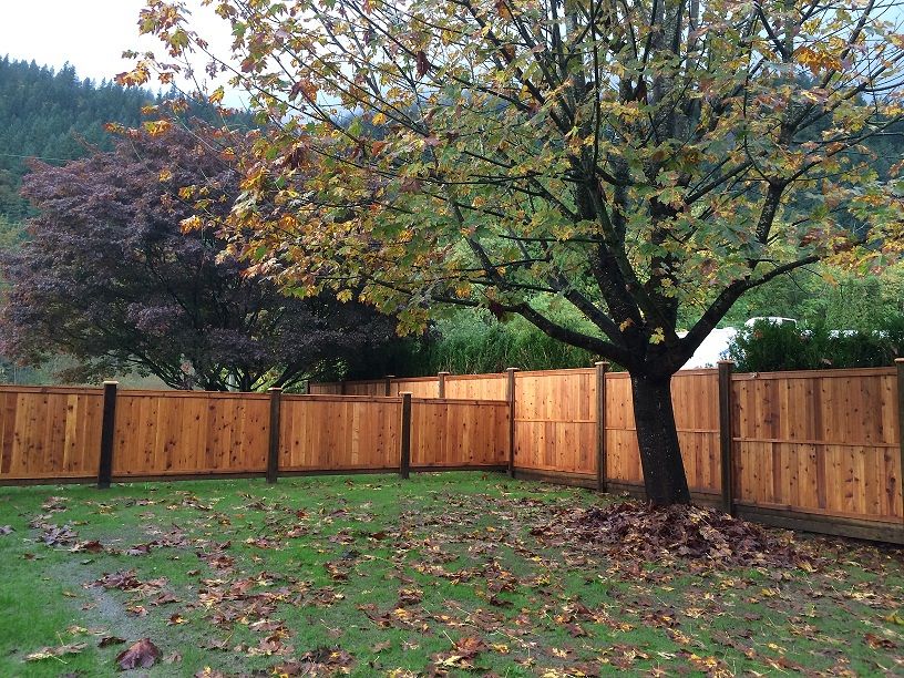 How do I know if my fence needs repairs or maintenance