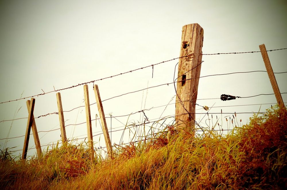 Which type of fencing is the most durable?