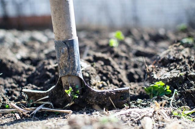 6 ways to improve your yard before the winter