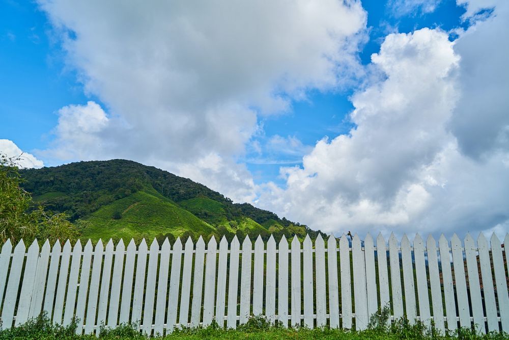 Spring maintenance tips for your fence