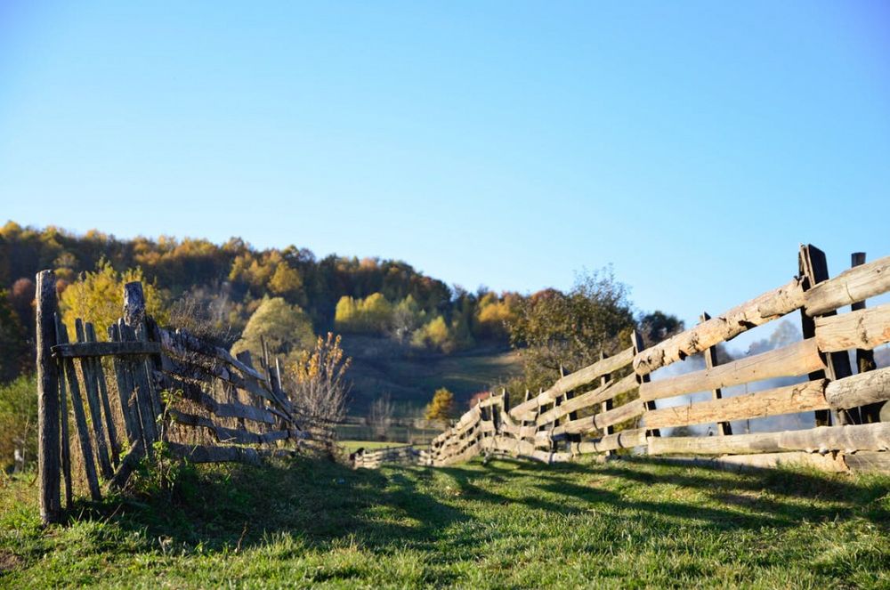 5 Telling Signs That Itâ€™s Time to Replace Your Fence