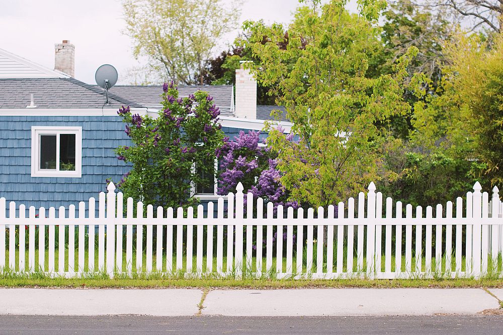 Top Articles on Fence Maintenance 