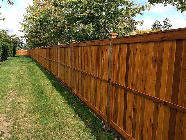 Fence Staining Near Me