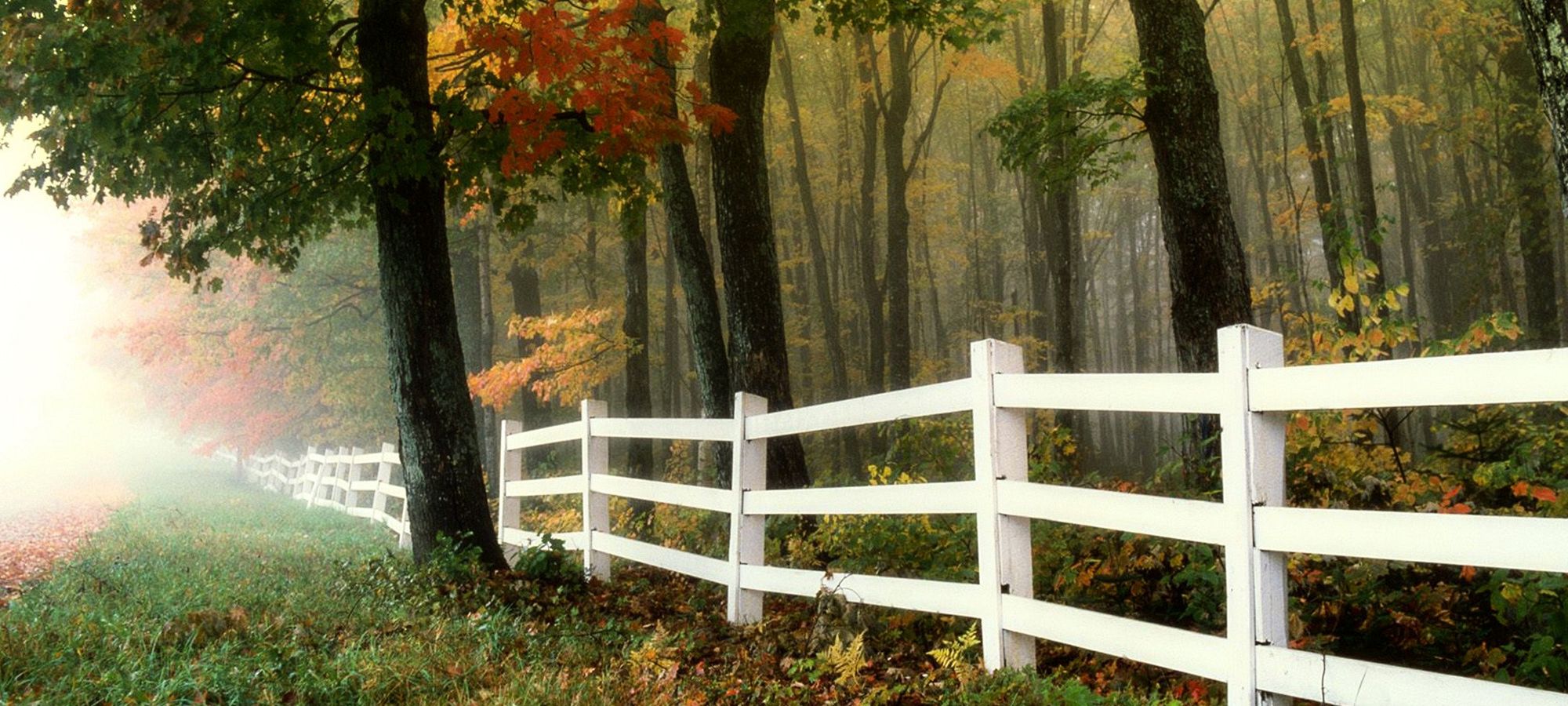 Building <span>Relationships</span>.<br>One  fence at a time.