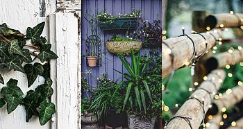 How Can I Decorate My Fence This Summer