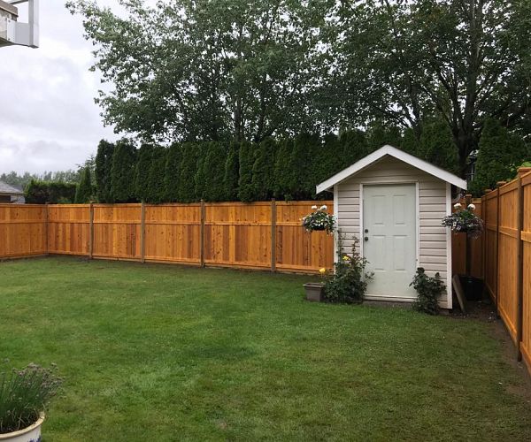 How to maintain your fence 