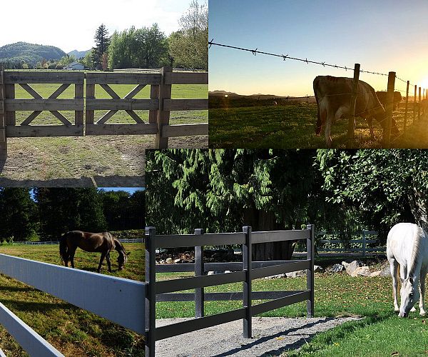 Top articles for your agriculture and animal fencing needs