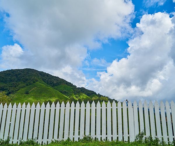 Spring maintenance tips for your fence