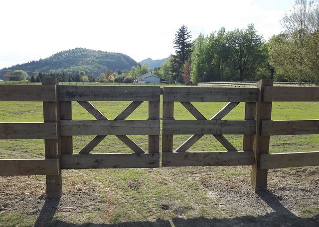Your guide to farm fencing in the Fraser Valley