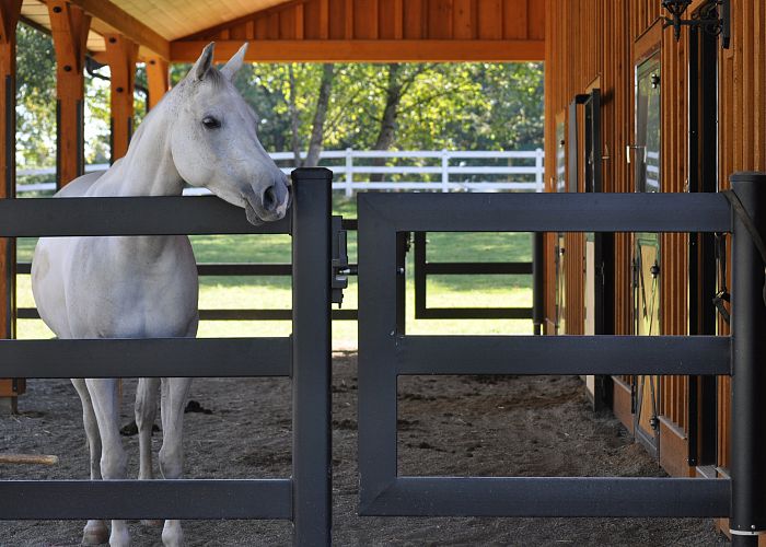 Should I Lock My Fence?