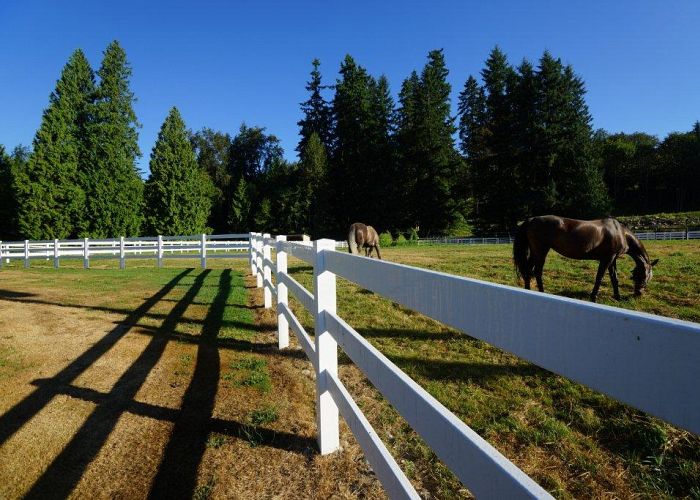 Spruce Up Your Fence For Spring