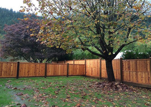 Tips to Make Your Fence Last Longer 