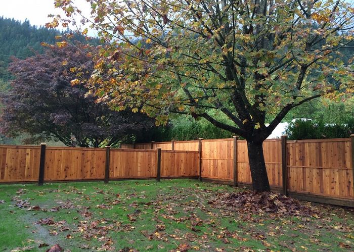 How do I know if my fence needs repairs or maintenance