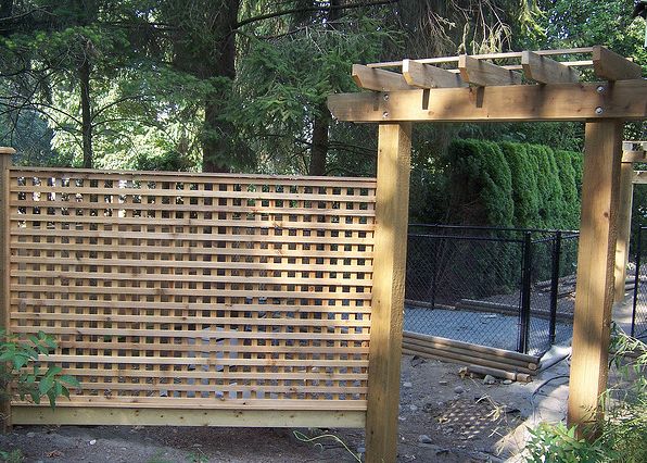 What is the difference between an arbour, a pergola and a trellis?