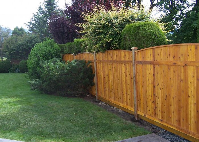 3 Tips for Making Your Yard More Private