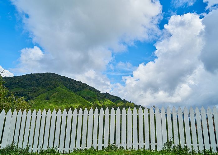 Spring maintenance tips for your fence