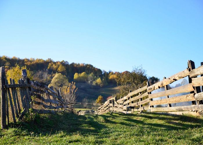 5 Telling Signs That Itâ€™s Time to Replace Your Fence